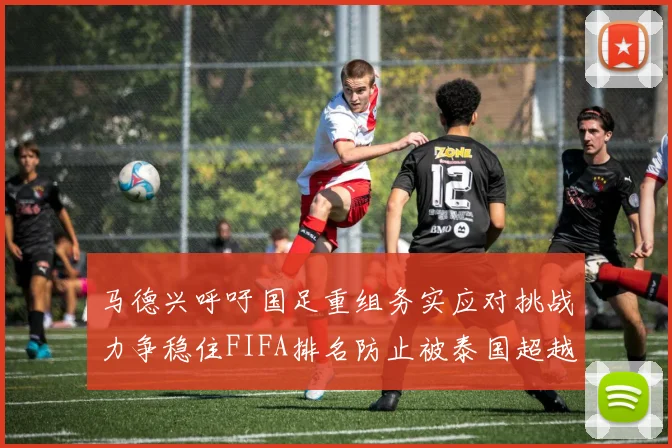 马德兴呼吁国足重组务实应对挑战力争稳住FIFA排名防止被泰国超越
