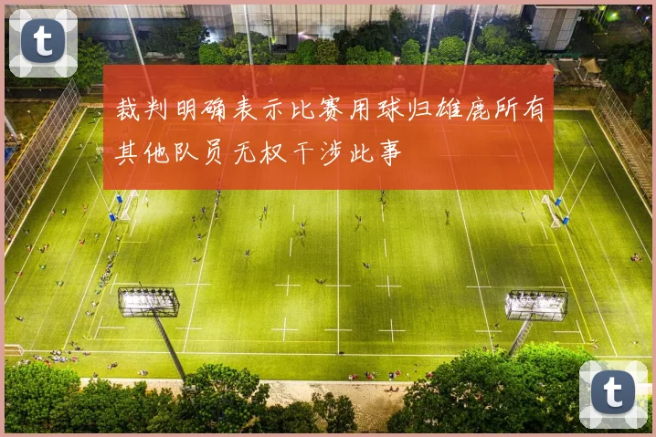 裁判明确表示比赛用球归雄鹿所有其他队员无权干涉此事