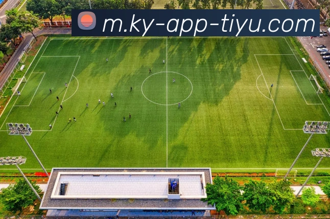 开云体育品牌故事