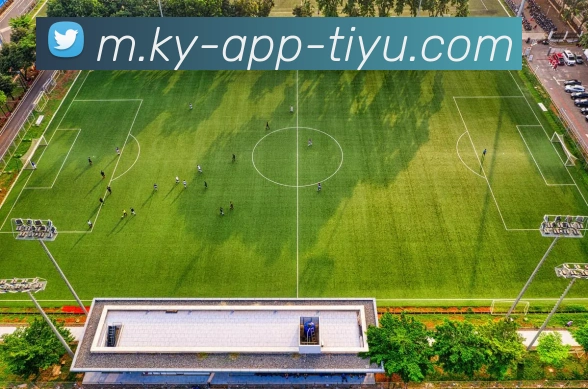 开云体育服务体系